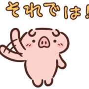 ヒメ日記 2026/04/02 10:28 投稿 圭（けい）☆最高級のおもてなし ジャックと豆の木