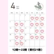 ヒメ日記 2026/04/16 12:16 投稿 圭（けい）☆最高級のおもてなし ジャックと豆の木