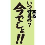 ヒメ日記 2026/05/12 11:25 投稿 圭（けい）☆最高級のおもてなし ジャックと豆の木