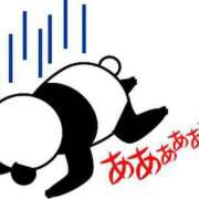 ヒメ日記 2026/05/12 23:31 投稿 圭（けい）☆最高級のおもてなし ジャックと豆の木