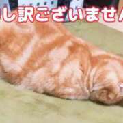 ヒメ日記 2026/05/31 13:36 投稿 圭（けい）☆最高級のおもてなし ジャックと豆の木