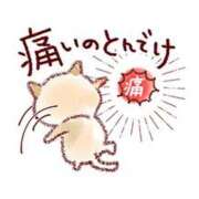 ヒメ日記 2026/06/19 18:31 投稿 圭（けい）☆最高級のおもてなし ジャックと豆の木