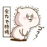 ヒメ日記 2026/06/23 11:43 投稿 圭（けい）☆最高級のおもてなし ジャックと豆の木