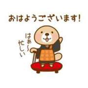 ヒメ日記 2026/06/29 10:01 投稿 圭（けい）☆最高級のおもてなし ジャックと豆の木