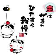 ヒメ日記 2026/07/15 20:52 投稿 圭（けい）☆最高級のおもてなし ジャックと豆の木