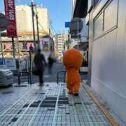 ヒメ日記 2025/02/10 09:18 投稿 吉瀬アリス SUMIRE