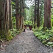 ヒメ日記 2025/07/28 04:36 投稿 吉瀬アリス SUMIRE