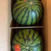 ヒメ日記 2025/08/20 04:30 投稿 吉瀬アリス SUMIRE