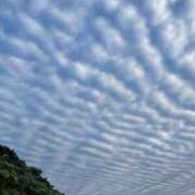 ヒメ日記 2025/09/23 09:19 投稿 吉瀬アリス SUMIRE