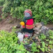 ヒメ日記 2025/11/30 08:34 投稿 吉瀬アリス SUMIRE