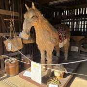 吉瀬アリス 午年🐴 SUMIRE