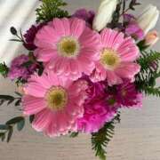 ヒメ日記 2026/02/08 15:22 投稿 吉瀬アリス SUMIRE