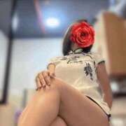 ヒメ日記 2026/03/02 13:04 投稿 吉瀬アリス SUMIRE