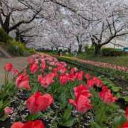 ヒメ日記 2026/04/04 16:34 投稿 吉瀬アリス SUMIRE