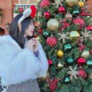 ヒメ日記 2024/12/19 23:15 投稿 りの 深海魚