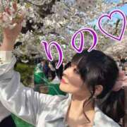 ヒメ日記 2025/04/08 07:00 投稿 りの 深海魚