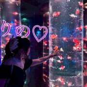 ヒメ日記 2025/06/01 06:05 投稿 りの 深海魚