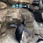 ヒメ日記 2025/01/14 12:52 投稿 Akane Niikura ELEGANT－エレガント－