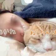 ヒメ日記 2025/01/22 07:38 投稿 Akane Niikura ELEGANT－エレガント－