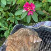 ヒメ日記 2025/04/18 10:58 投稿 Akane Niikura ELEGANT－エレガント－