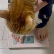 ヒメ日記 2025/04/27 22:34 投稿 Akane Niikura ELEGANT－エレガント－