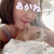 ヒメ日記 2025/05/03 22:31 投稿 Akane Niikura ELEGANT－エレガント－