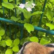 ヒメ日記 2025/06/10 14:15 投稿 Akane Niikura ELEGANT－エレガント－