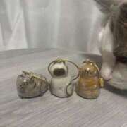 Akane Niikura ねこのけあつめて ELEGANT－エレガント－