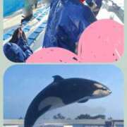 ヒメ日記 2025/05/27 23:36 投稿 嵐　つかさ☆マットの本格派 ジャックと豆の木