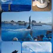 ヒメ日記 2025/10/08 18:30 投稿 嵐　つかさ☆マットの本格派 ジャックと豆の木