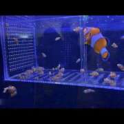 ヒメ日記 2025/10/12 12:50 投稿 ののか 福盛