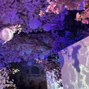 ヒメ日記 2026/04/10 14:03 投稿 ののか 福盛