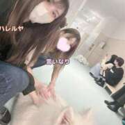 ヒメ日記 2025/04/21 15:32 投稿 ハレルヤ～Hallelujah～ GOOD-グッド-