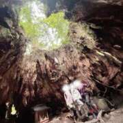 ヒメ日記 2025/05/14 14:42 投稿 ハレルヤ～Hallelujah～ GOOD-グッド-