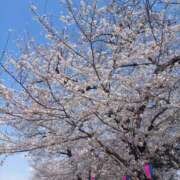 ヒメ日記 2025/03/31 08:46 投稿 さくら（人妻） Yシャツと私