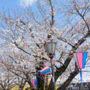 ヒメ日記 2025/04/01 16:25 投稿 さくら（人妻） Yシャツと私