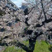 ヒメ日記 2025/04/04 18:52 投稿 さくら（人妻） Yシャツと私