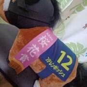 ヒメ日記 2025/04/06 08:51 投稿 さくら（人妻） Yシャツと私