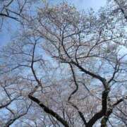 ヒメ日記 2025/04/06 11:50 投稿 さくら（人妻） Yシャツと私