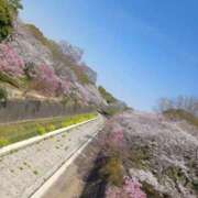 ヒメ日記 2025/04/07 08:35 投稿 さくら（人妻） Yシャツと私