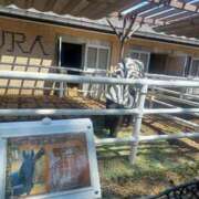 ヒメ日記 2025/05/12 15:20 投稿 さくら（人妻） Yシャツと私