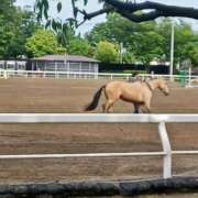ヒメ日記 2025/05/19 09:25 投稿 さくら（人妻） Yシャツと私