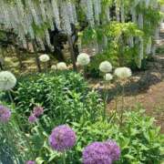 ヒメ日記 2025/06/01 08:58 投稿 さくら（人妻） Yシャツと私