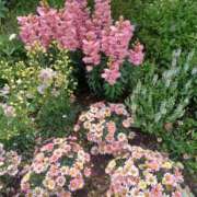 ヒメ日記 2025/06/06 19:10 投稿 さくら（人妻） Yシャツと私