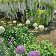 ヒメ日記 2025/06/22 09:02 投稿 さくら（人妻） Yシャツと私