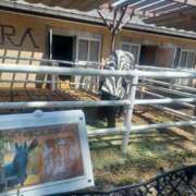 ヒメ日記 2025/09/14 09:43 投稿 さくら（人妻） Yシャツと私