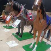 ヒメ日記 2025/09/21 10:45 投稿 さくら（人妻） Yシャツと私