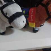 ヒメ日記 2025/11/09 11:35 投稿 さくら（人妻） Yシャツと私