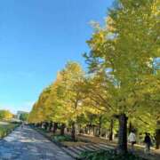 さくら（人妻） チャンピオンズカップ🐎 Yシャツと私