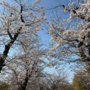 ヒメ日記 2026/04/02 22:02 投稿 さくら（人妻） Yシャツと私